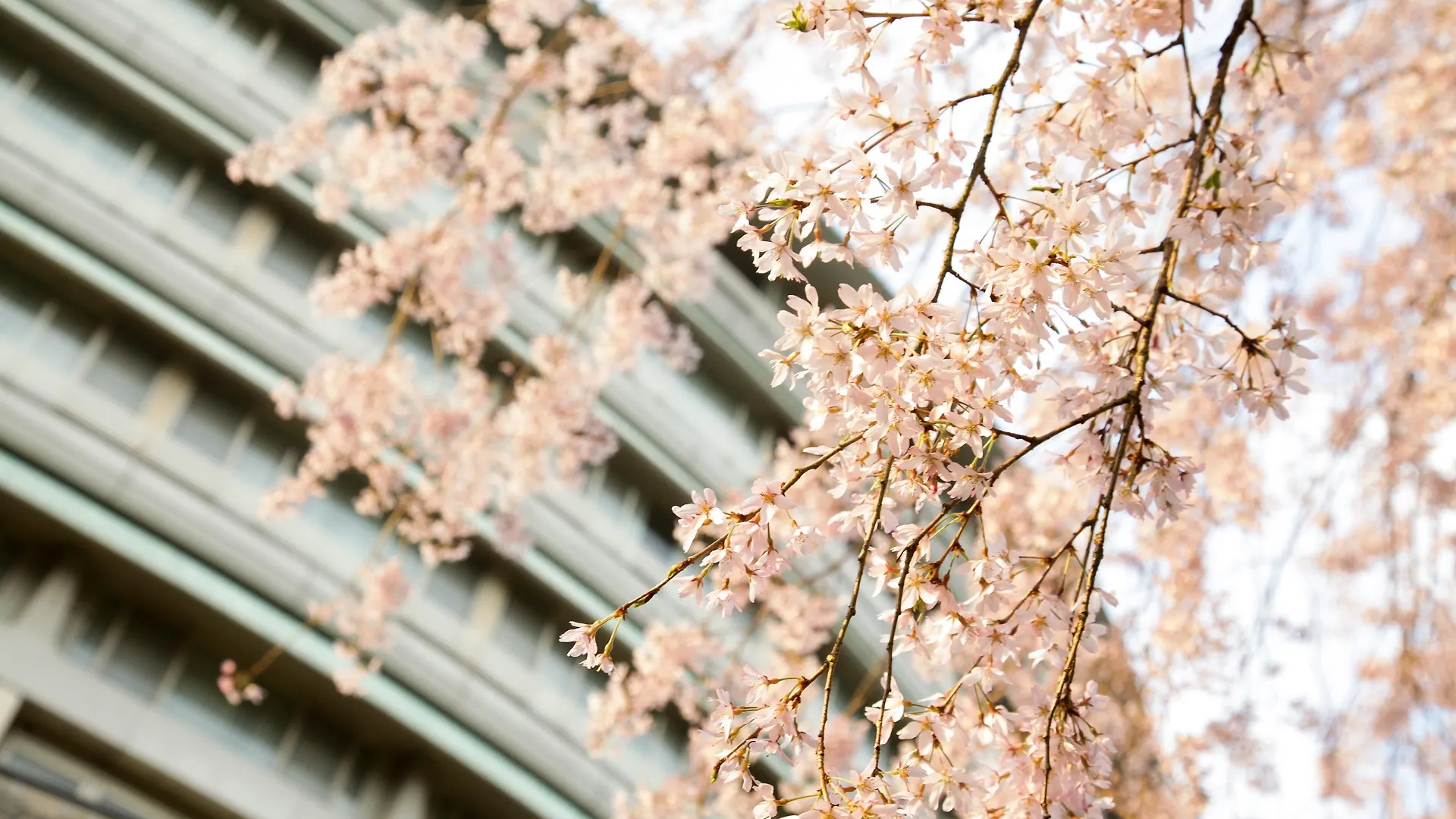 The Prince Kyoto Takaragaike, Autograph Collection Hotel