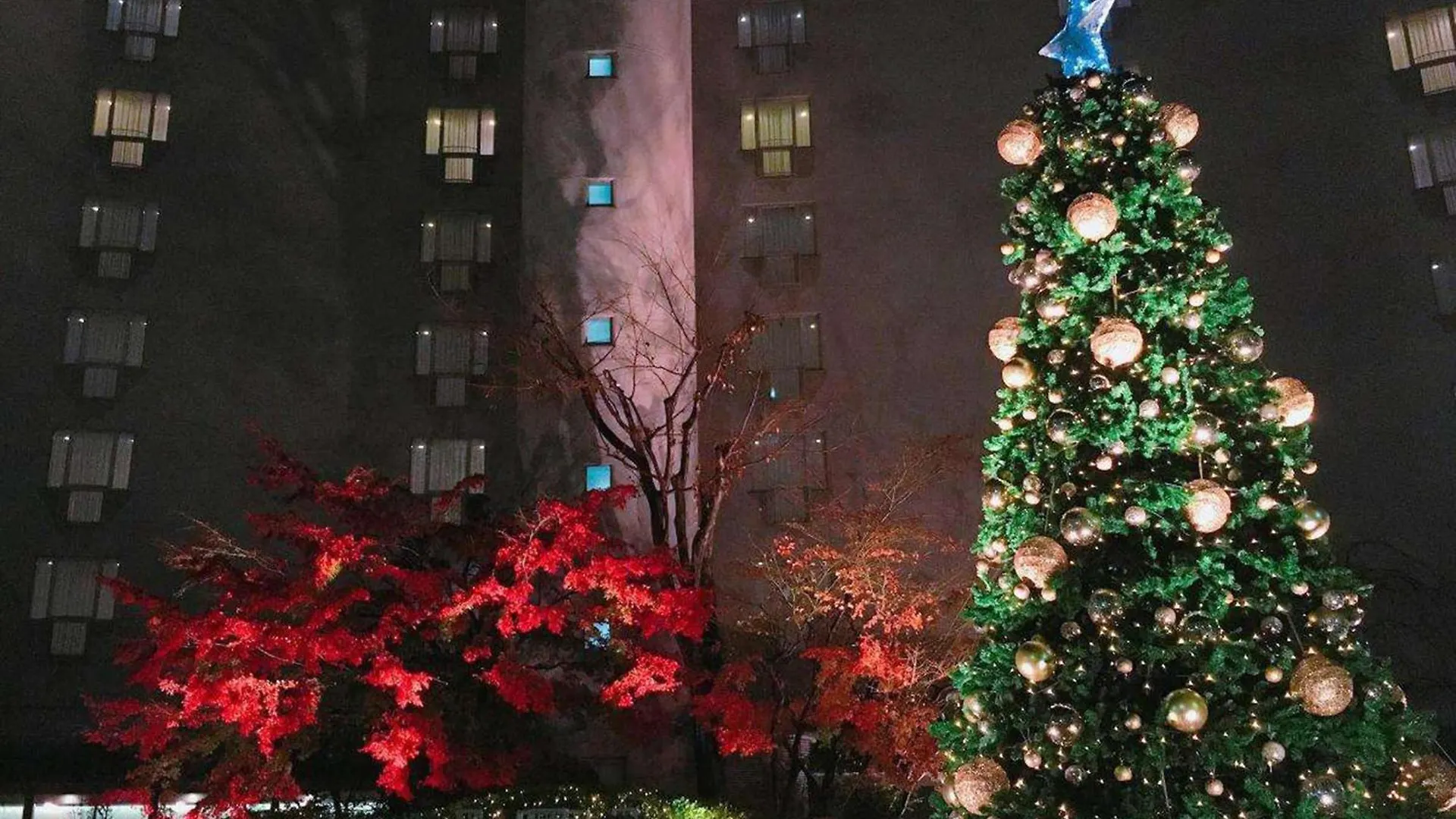 ***** Hotel The Prince Kyoto Takaragaike, Autograph Collection Japon
