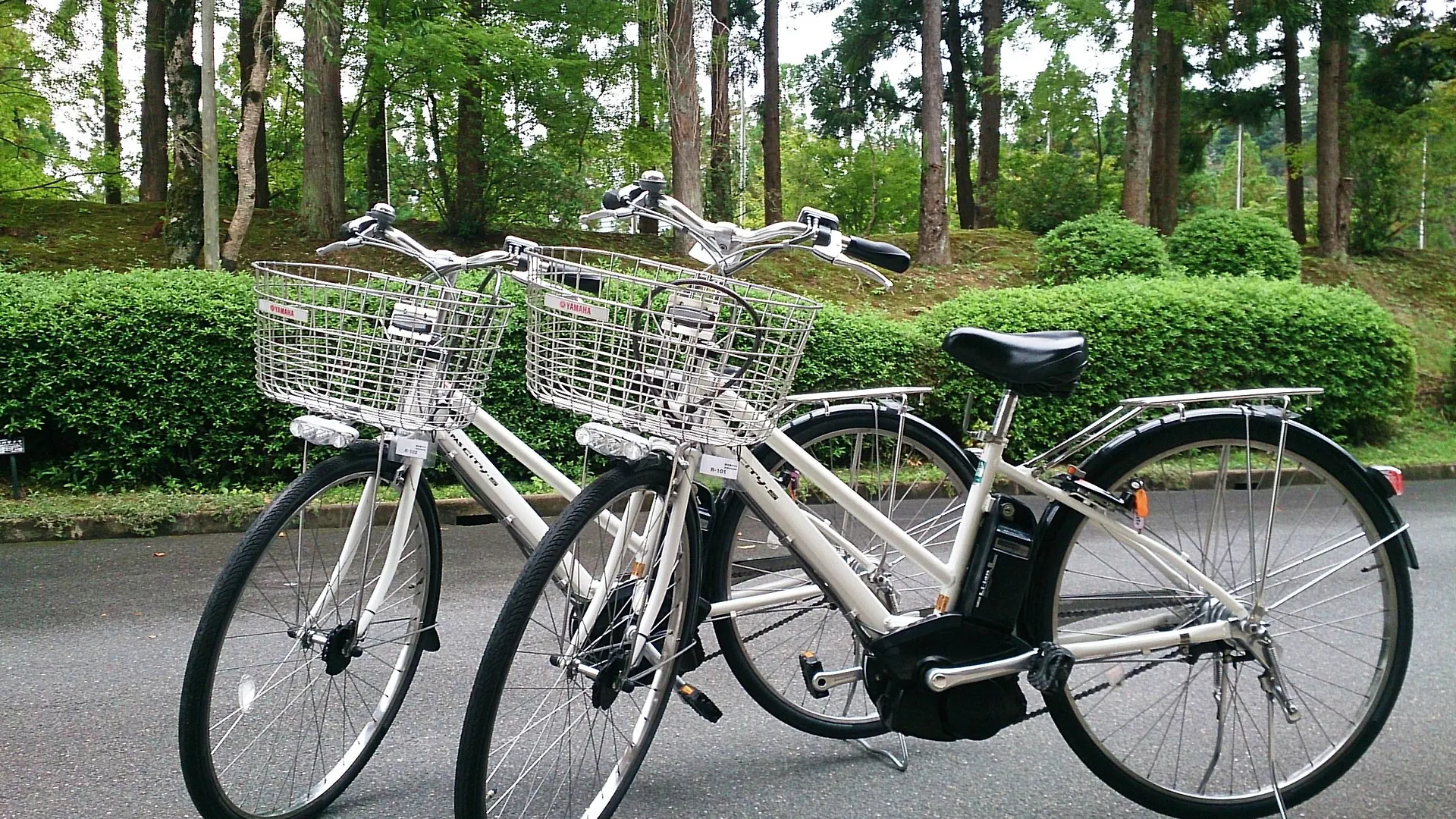 The Prince Kyoto Takaragaike, Autograph Collection Hotel